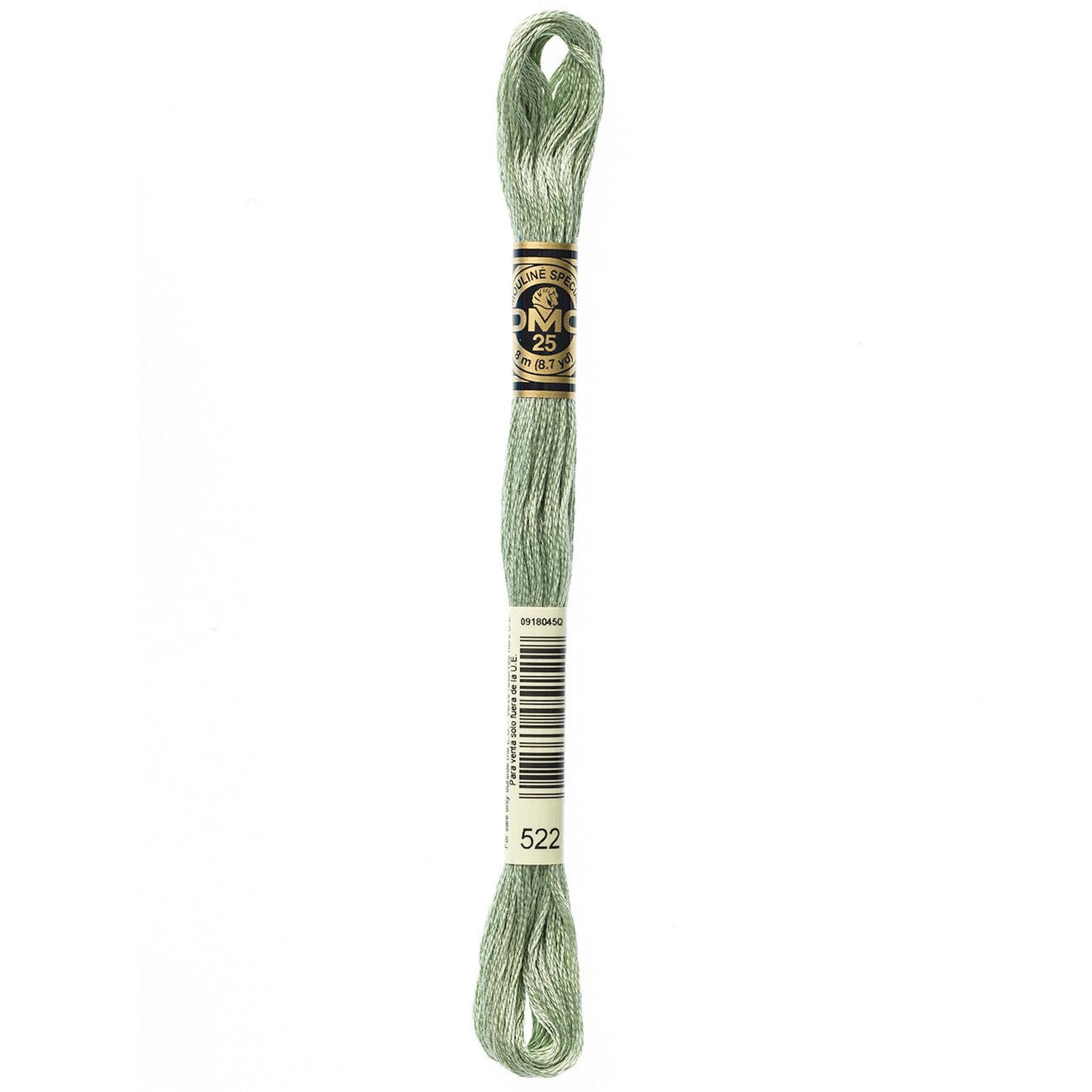 DMC Six-Strand Embroidery Floss - 522 Fern Green