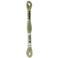 DMC Six-Strand Embroidery Floss - 523 Light Fern Green