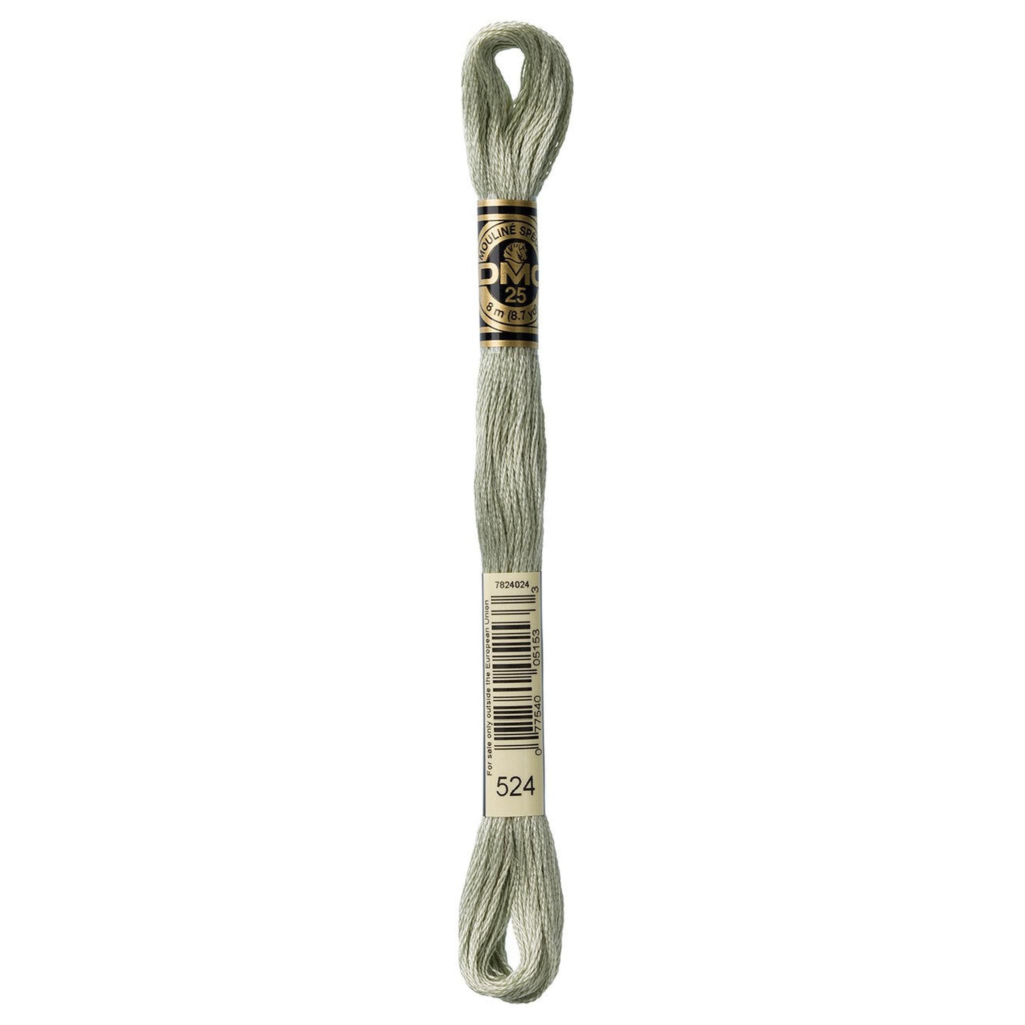 DMC Six-Strand Embroidery Floss - 524 Very Light Fern Green