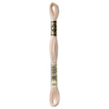 DMC Six-Strand Embroidery Floss - 543 Ultra Very Light Beige Brown