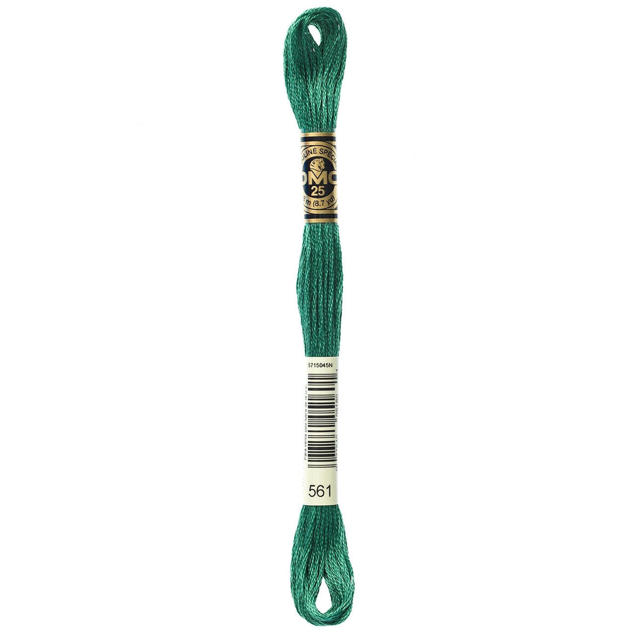 DMC Six-Strand Embroidery Floss - 561 Very Dark Jade