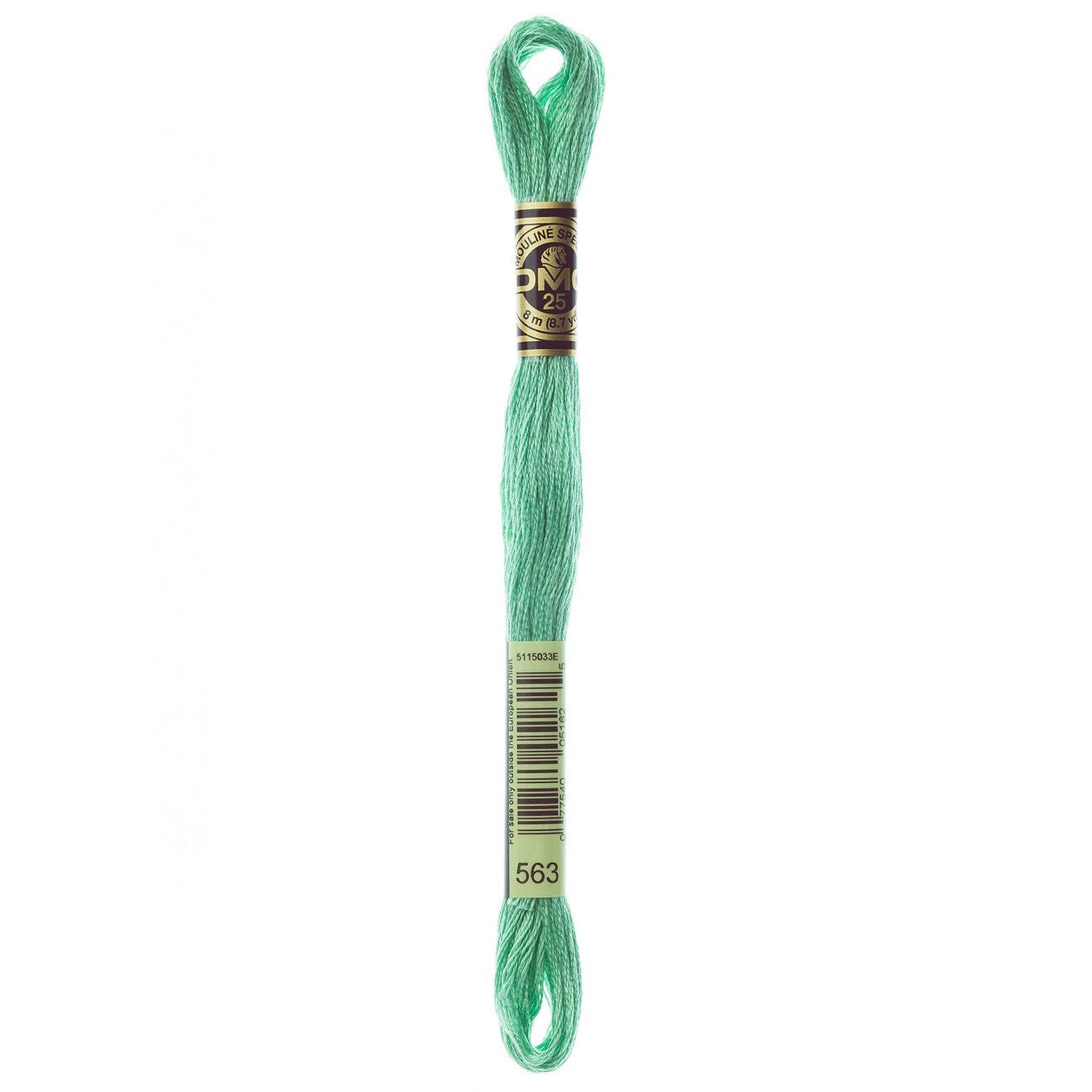 DMC Six-Strand Embroidery Floss - 563 Light Jade