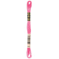 DMC Six-Strand Embroidery Floss - 603 Cranberry