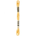 DMC Six-Strand Embroidery Floss - 676 Light Old Gold