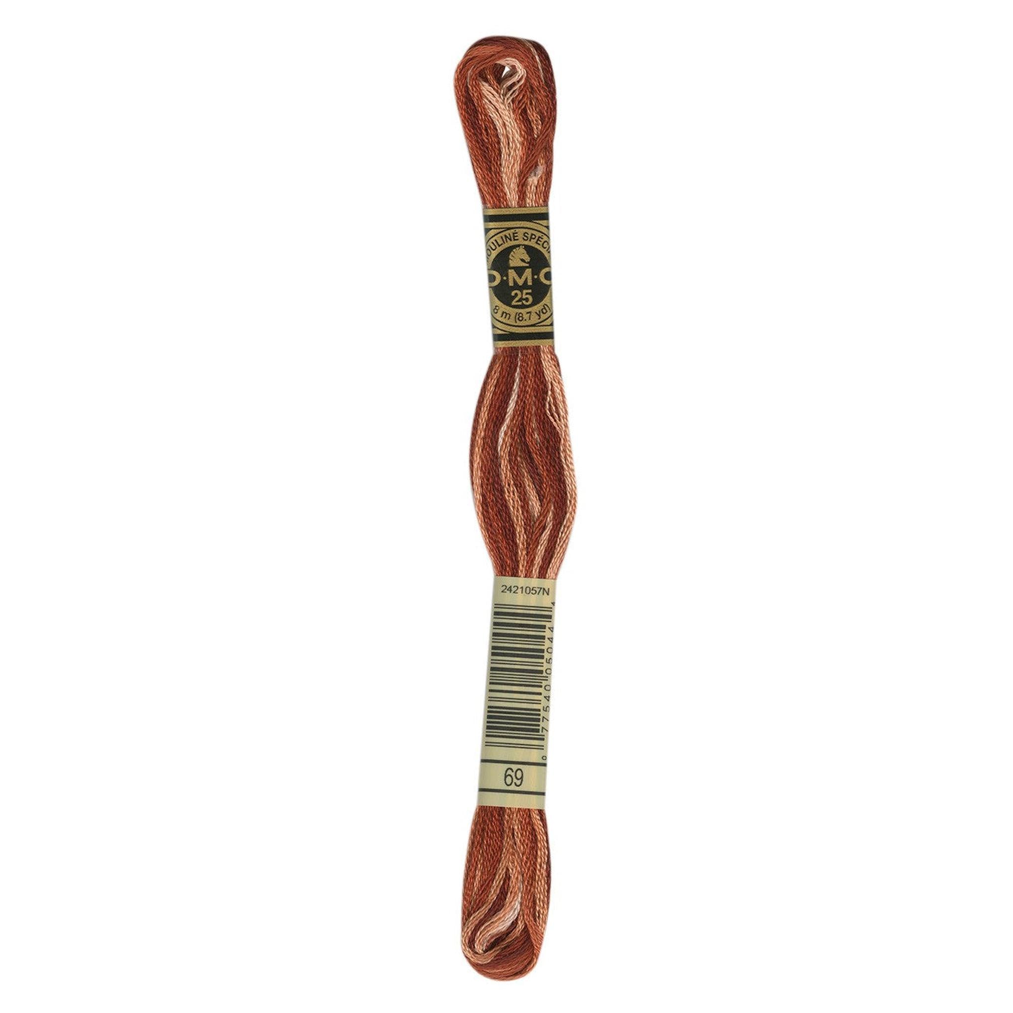 DMC Six-Strand Embroidery Floss - 69 Variegated Terra Cotta