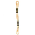 DMC Six-Strand Embroidery Floss - 739 Ultra Very Light Tan