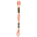 DMC Six-Strand Embroidery Floss - 754 Light Peach
