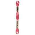 DMC Six-Strand Embroidery Floss - 760 Salmon
