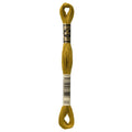 DMC Six-Strand Embroidery Floss - 832 Golden Olive
