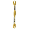 DMC Six-Strand Embroidery Floss - 834 Very Light Golden Olive