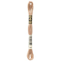 DMC Six-Strand Embroidery Floss - 841 Light Beige Brown