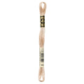 DMC Six-Strand Embroidery Floss - 842 Very Light Beige Brown