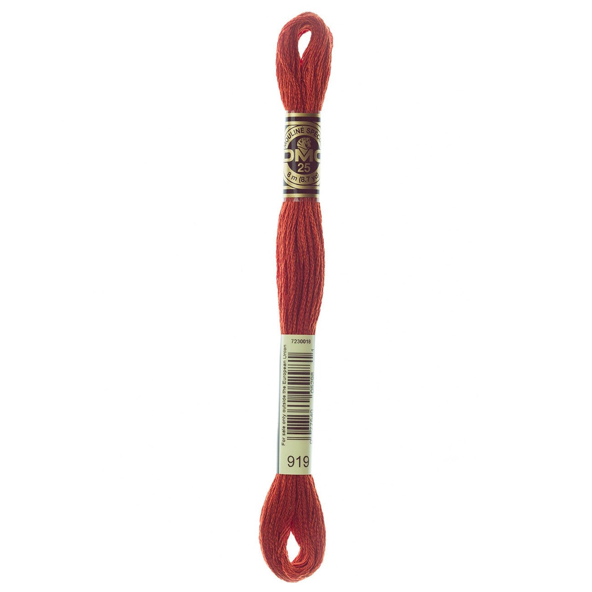 DMC Six-Strand Embroidery Floss - 919 Red Copper