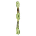 DMC Six-Strand Embroidery Floss - 92 Variegated Avocado
