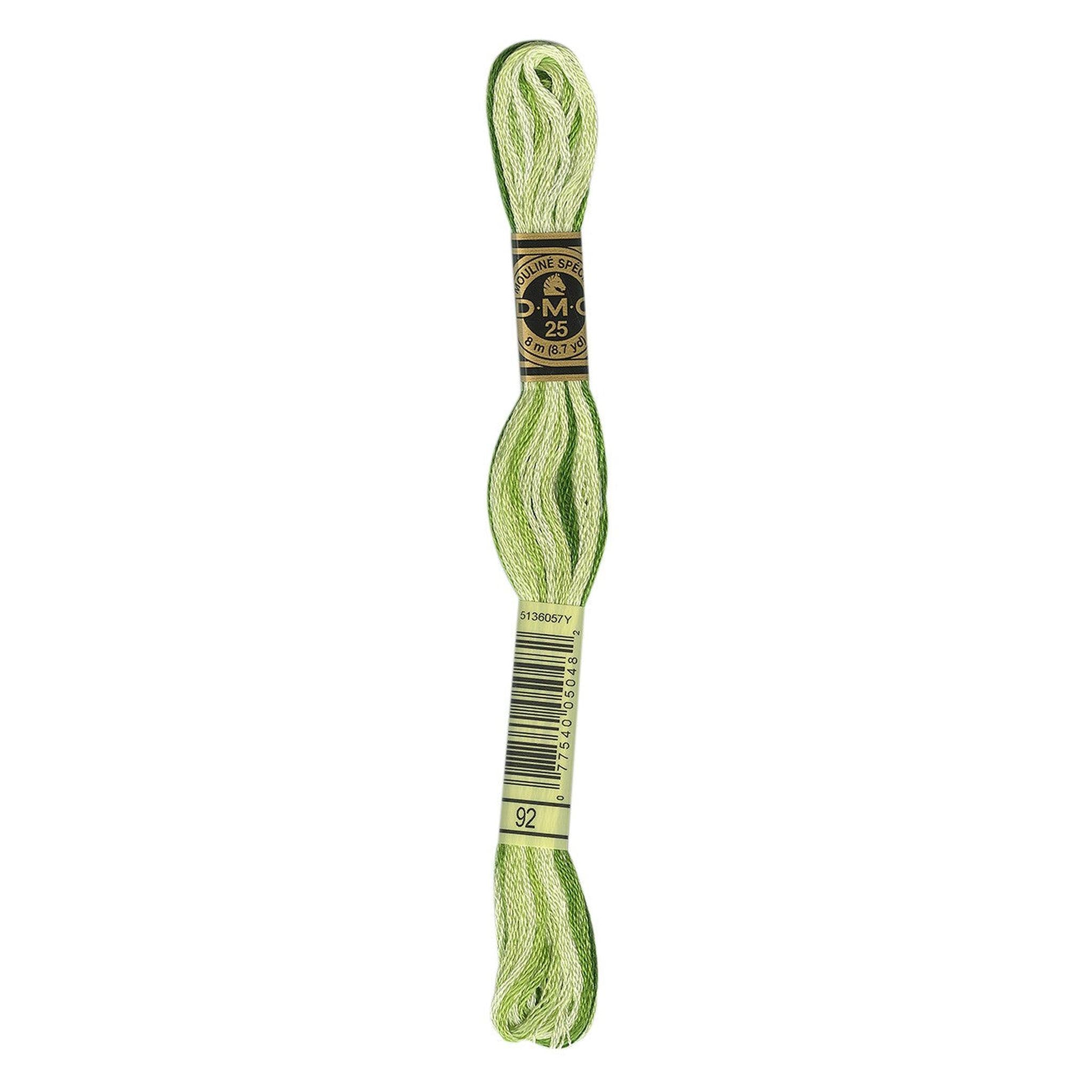 DMC Six-Strand Embroidery Floss - 92 Variegated Avocado