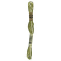 DMC Six-Strand Embroidery Floss - 94 Variegated Khaki Green