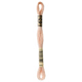 DMC Six-Strand Embroidery Floss - 950 Light Desert Sand