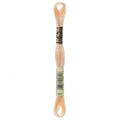 DMC Six-Strand Embroidery Floss - 951 Light Tawny
