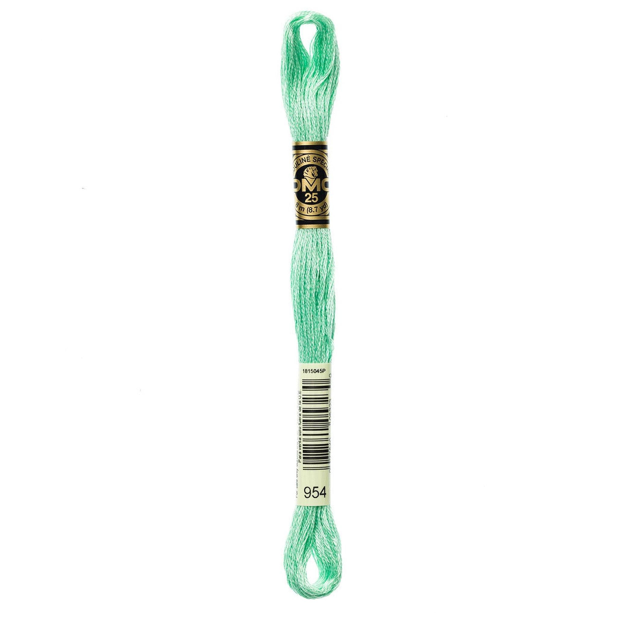 DMC Six-Strand Embroidery Floss - 954 Nile Green