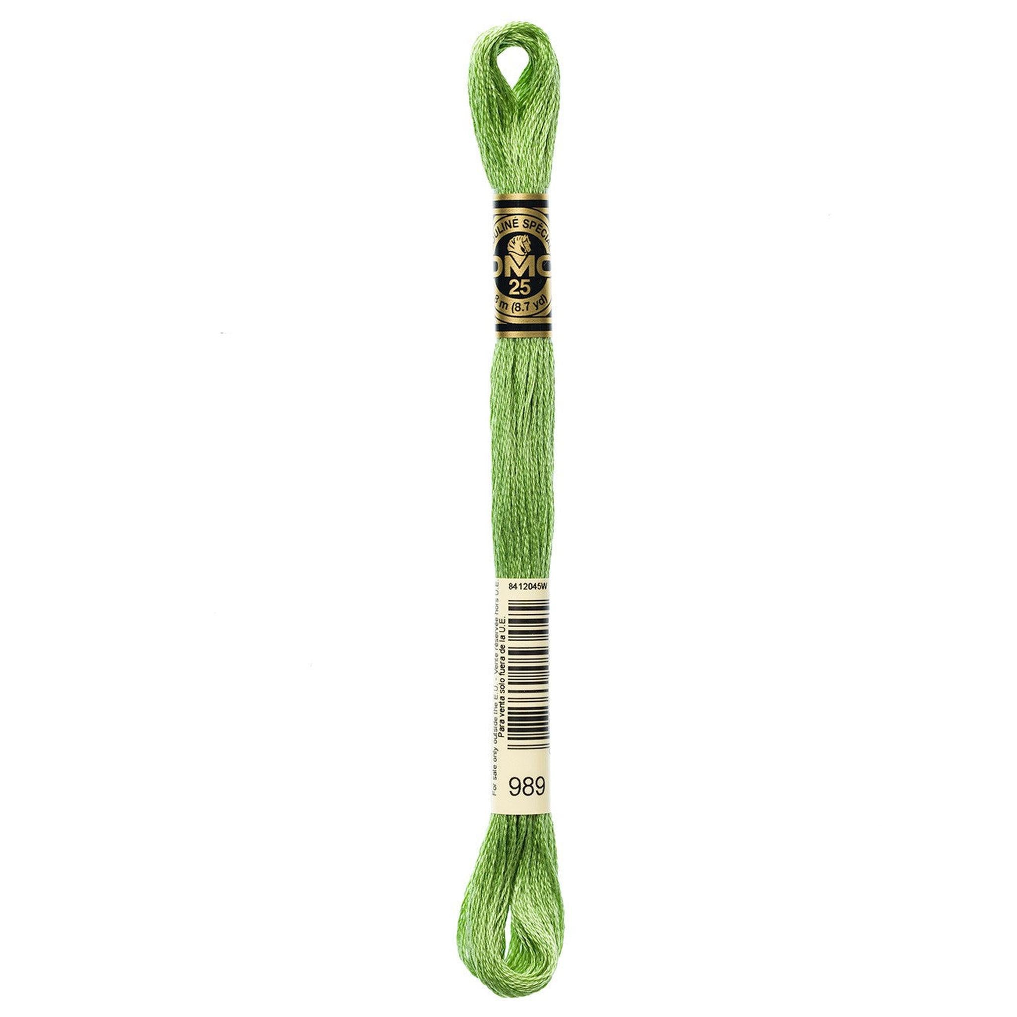 DMC Six-Strand Embroidery Floss - 989 Forest Green