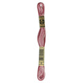 DMC Six-Strand Embroidery Floss - 99 Variegated Mauve