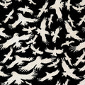 Boo Bash - Ravens - Black
