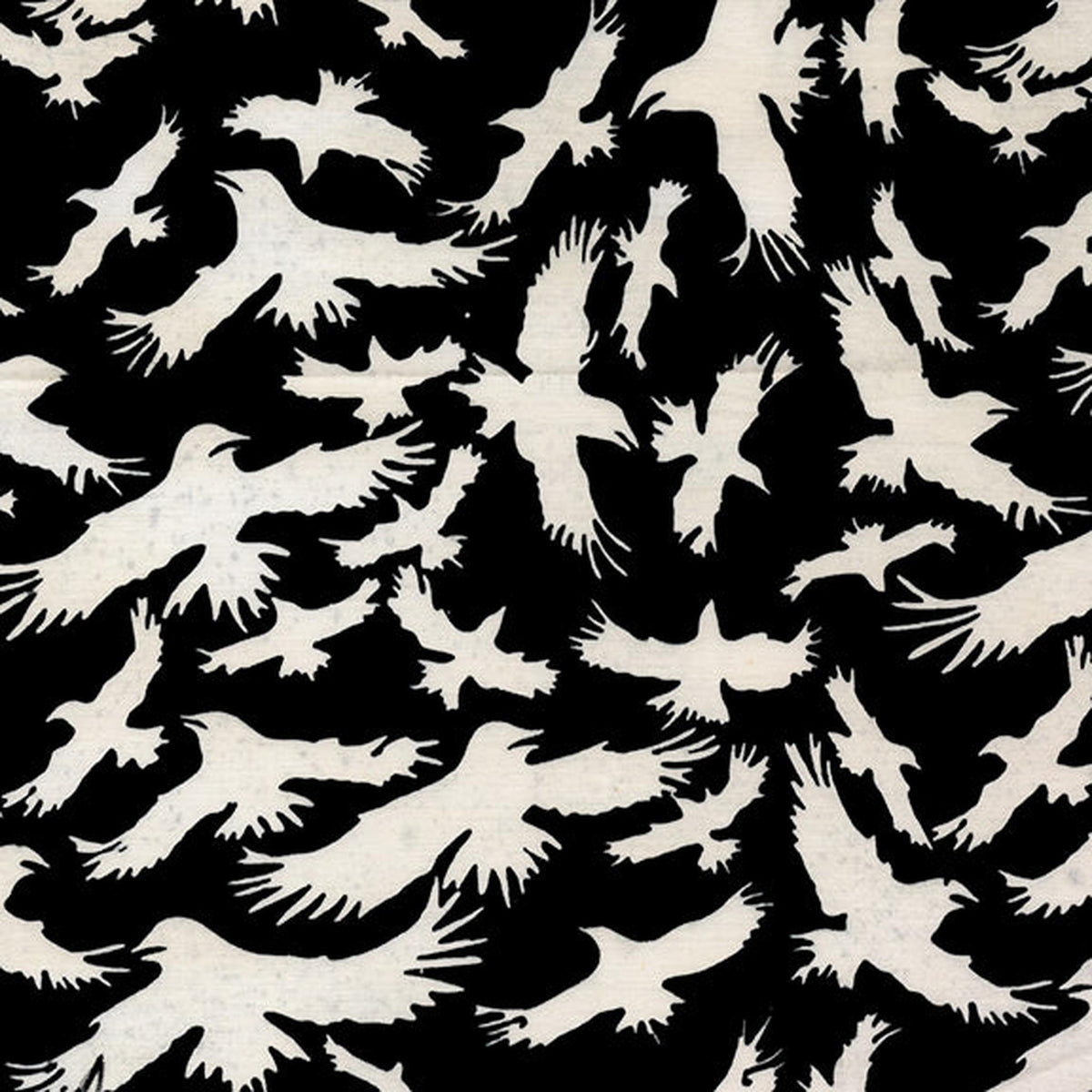 Boo Bash - Ravens - Black