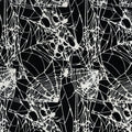 Boo Bash - Spiders and Webs - White