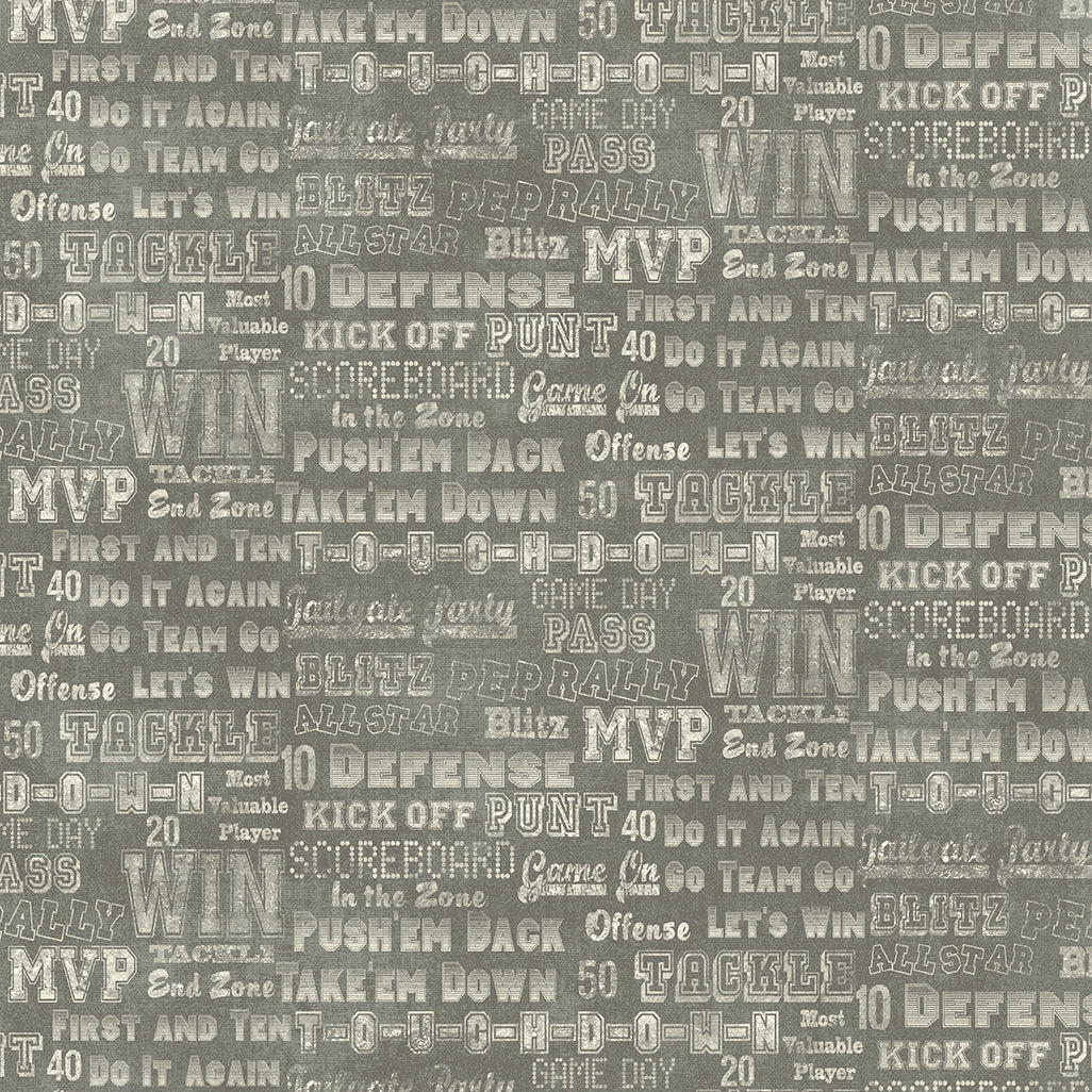 Touchdown - Cheer Em On Medium Gray By Skyline Studio