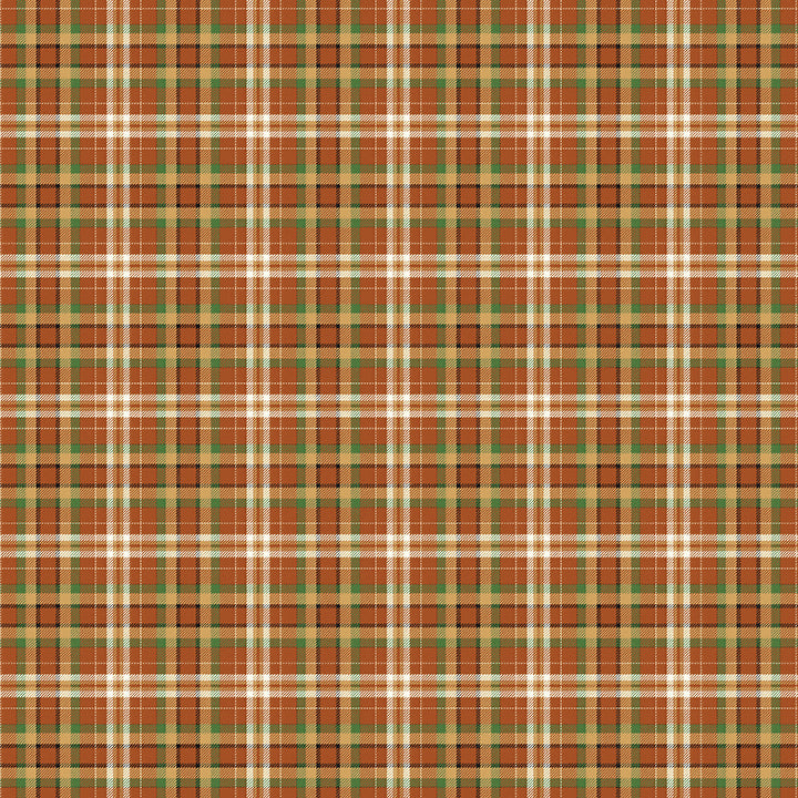 Touchdown - Plaid Rust-Green By Skyline Studio