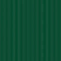 1/8" Tonal Stripes by Riley Blake - Christmas Green