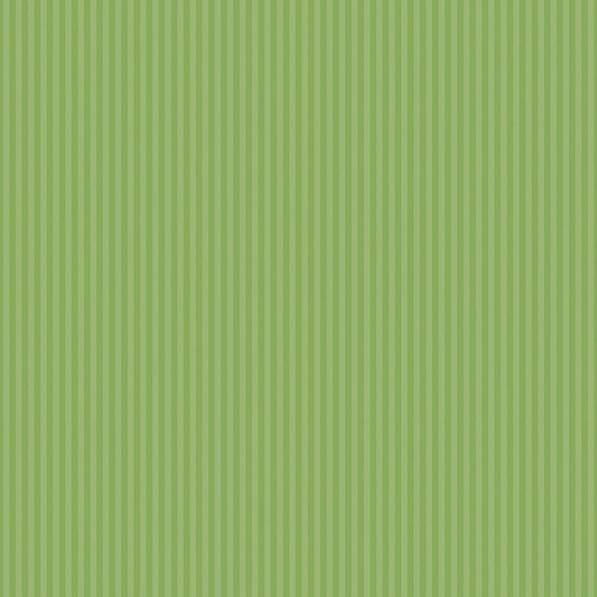 1/8" Tonal Stripes by Riley Blake - Green