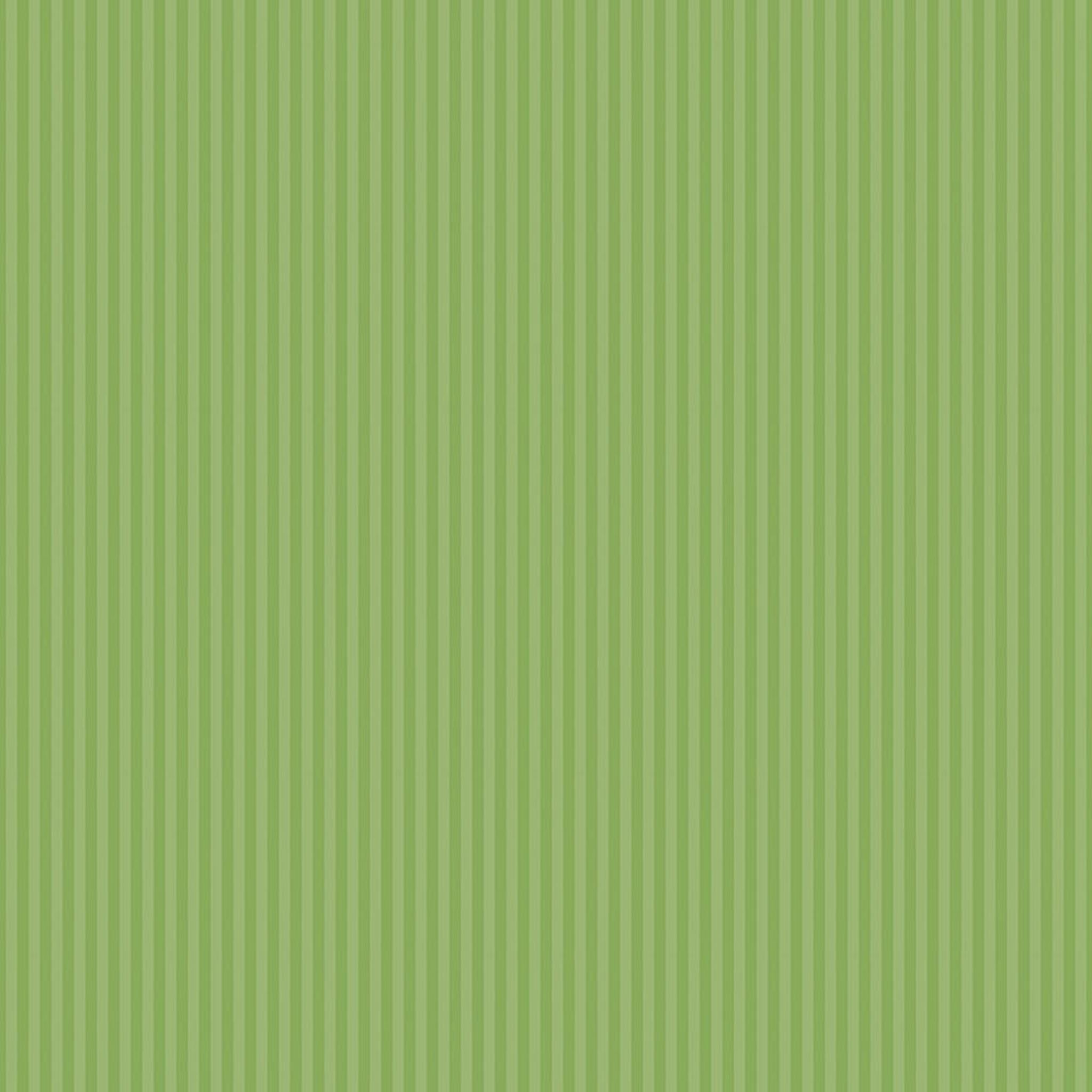 1/8" Tonal Stripes by Riley Blake - Green