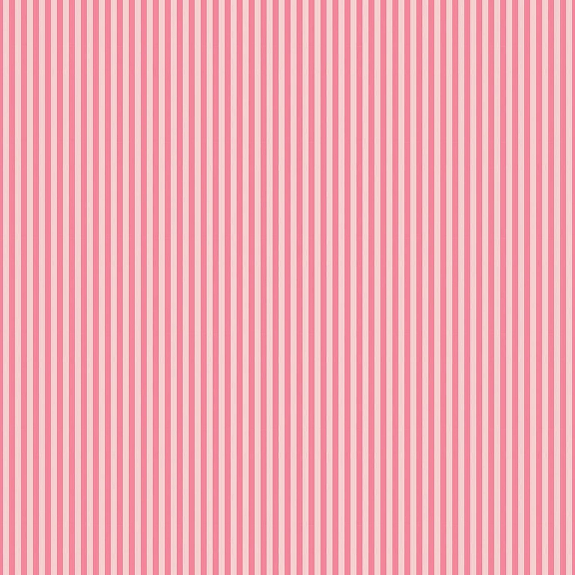 1/8" Tonal Stripes by Riley Blake - Sugar Pink
