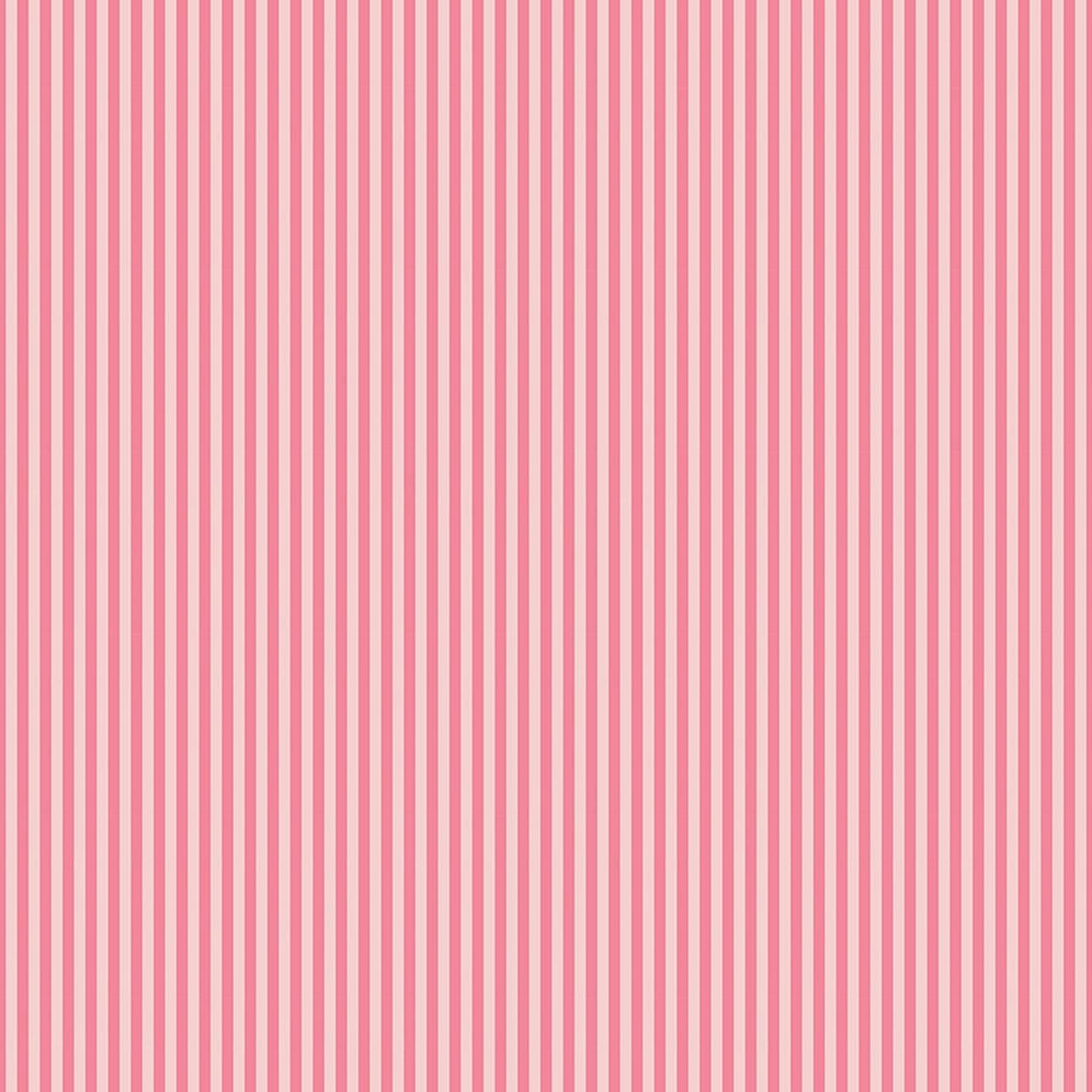 1/8" Tonal Stripes by Riley Blake - Sugar Pink
