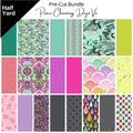 PREORDER Prince Charming Deja Vu and Coordinates (20) - Half Yard Bundle