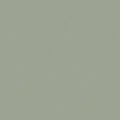 Superior Solids - Sage