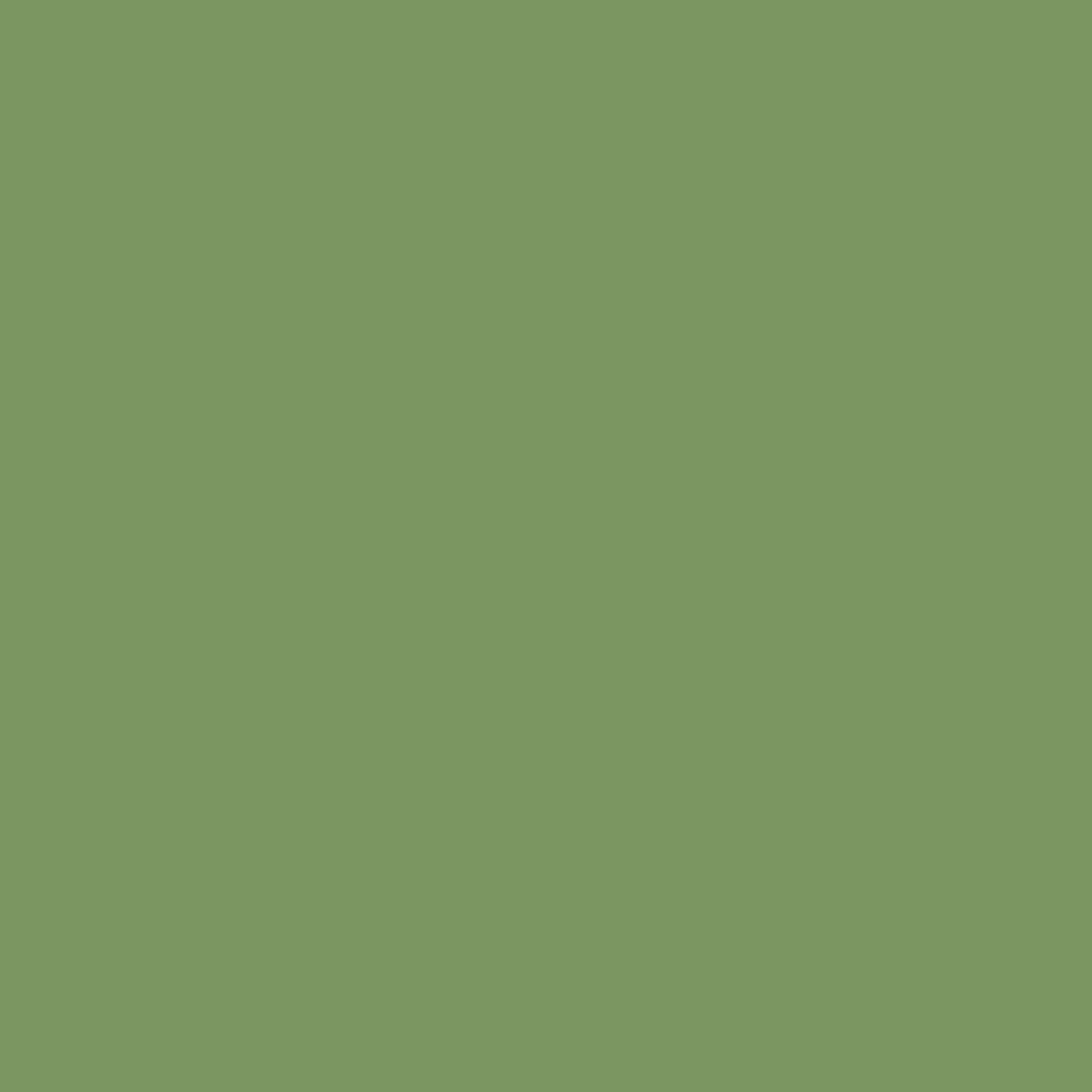 Superior Solids - Evergreen