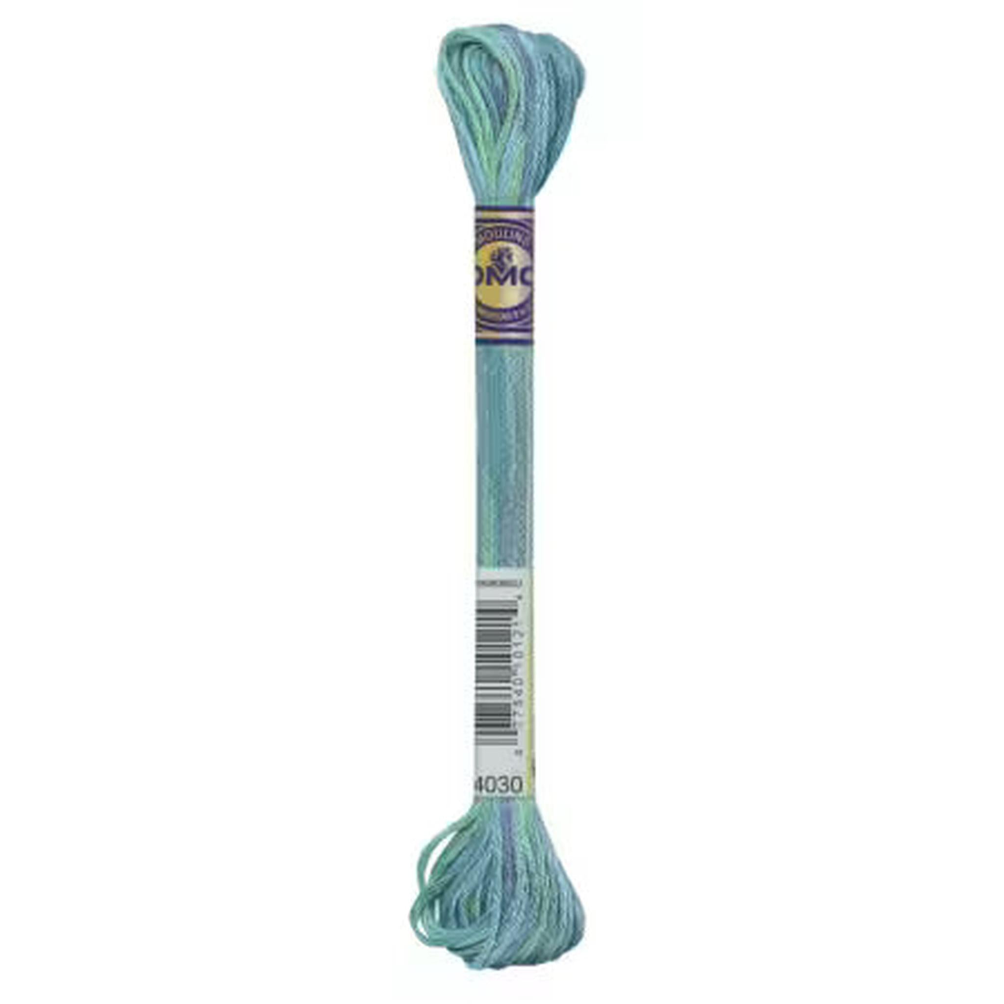 DMC Color Variations Embroidery Floss - 4030 Monets Garden