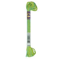 DMC Color Variations Embroidery Floss - 4050 Roaming Pastures