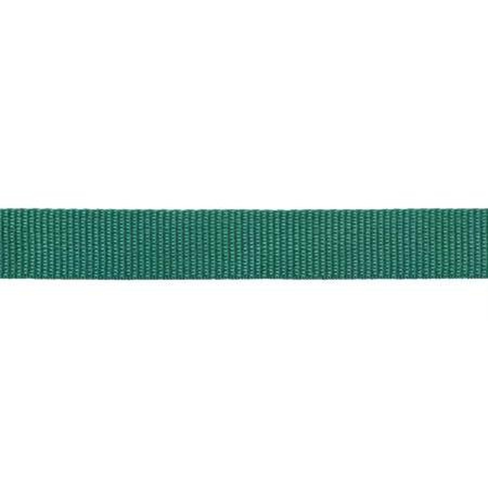 Polypro Webbing / Strapping - 1" Kelly