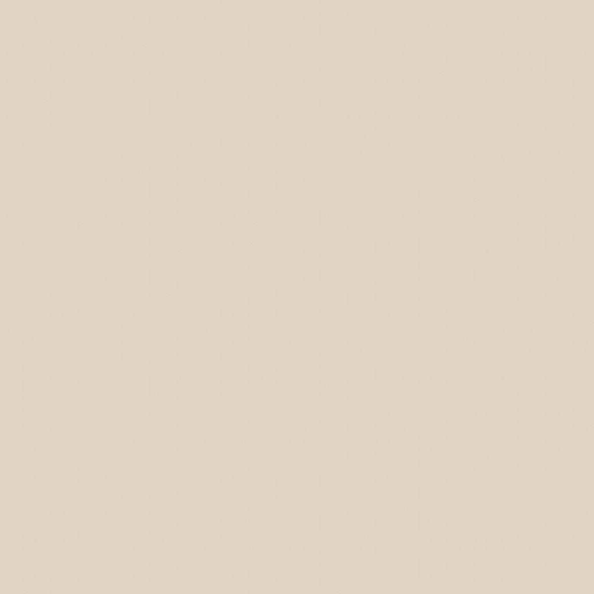 Country Confetti by Riley Blake - Latte