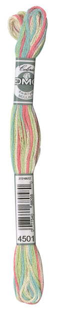 DMC Coloris Embroidery Floss - 4501 Wildflowers