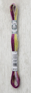 DMC Coloris Embroidery Floss - 4503 Wisteria