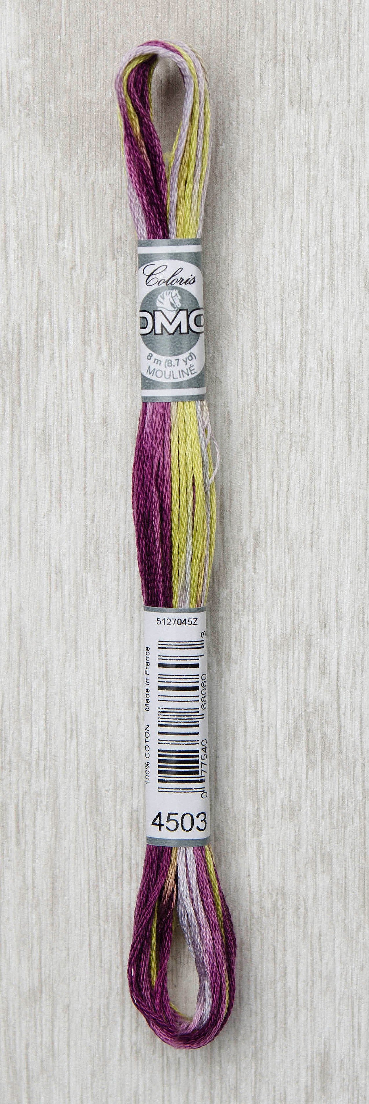 DMC Coloris Embroidery Floss - 4503 Wisteria