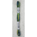 DMC Coloris Embroidery Floss - 4506 Spring