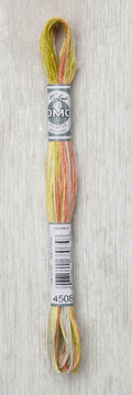 DMC Coloris Embroidery Floss - 4508 Frosted Countryside