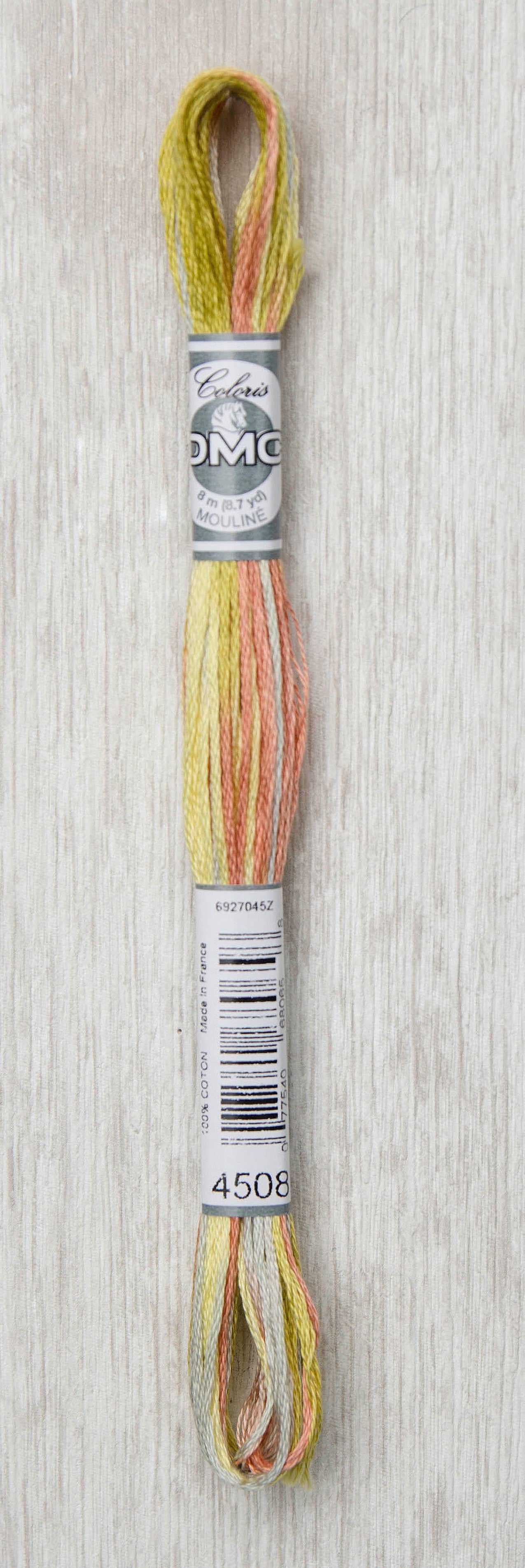 DMC Coloris Embroidery Floss - 4508 Frosted Countryside