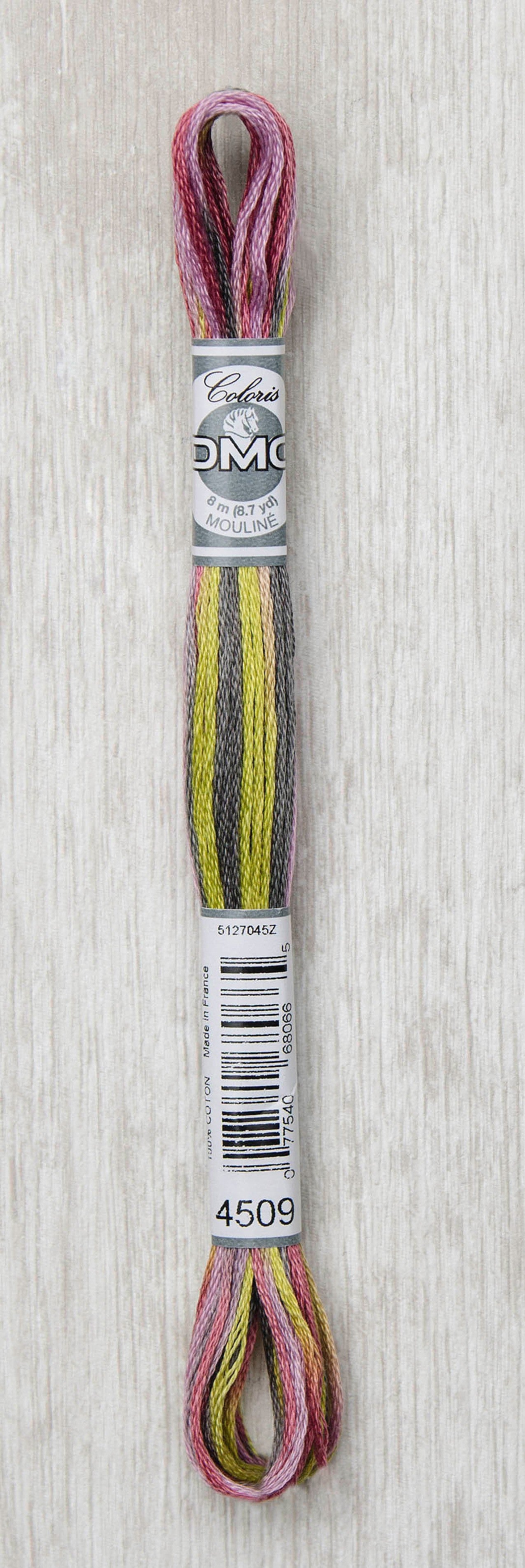 DMC Coloris Embroidery Floss - 4509 Granite Coast