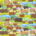 Animal Kingdom - Highland Cows - Grasslands
